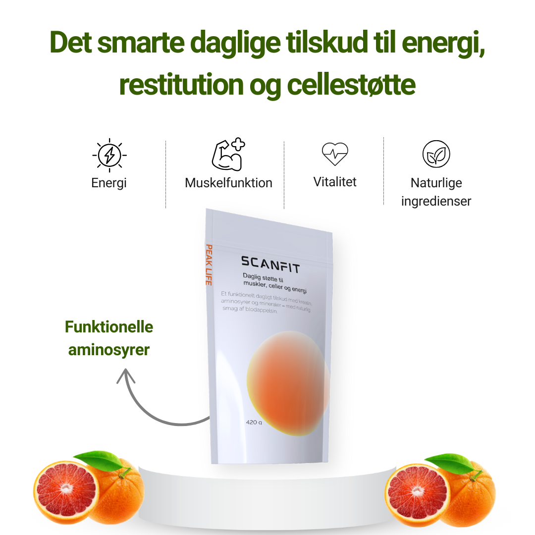 Den komplette sundhedsrejse