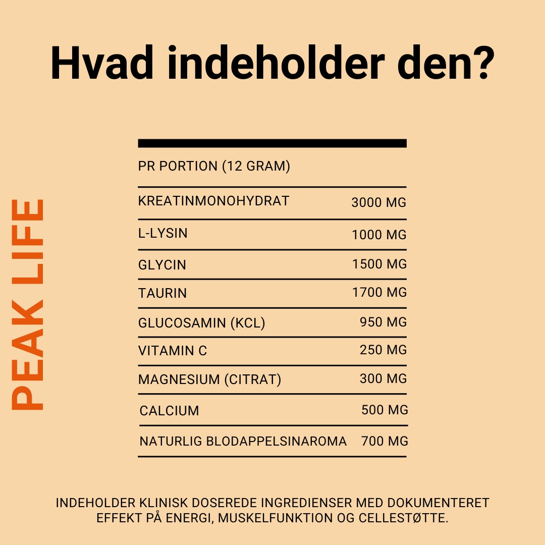 Den komplette sundhedsrejse